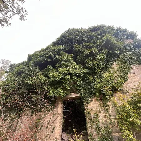 Bed & Breakfast Monte Paradiso Pietralunga (Umbria)