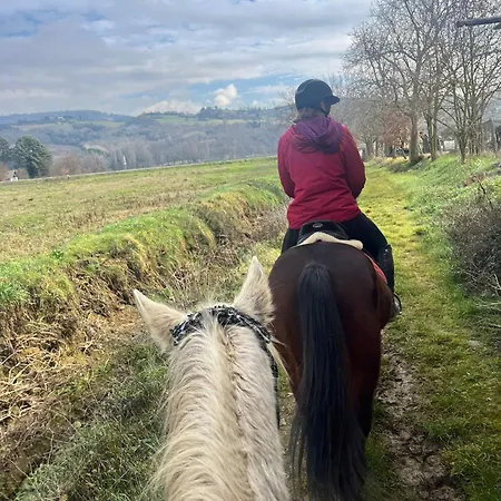 Monte Paradiso Отель типа 