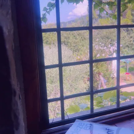 Monte Paradiso Отель типа 