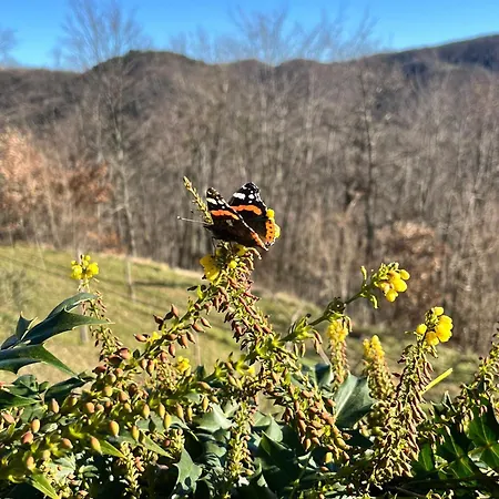 Monte Paradiso * Pietralunga (Umbria)
