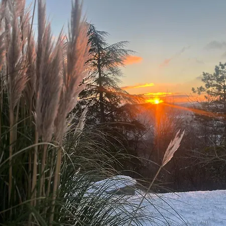Monte Paradiso Bed & Breakfast *