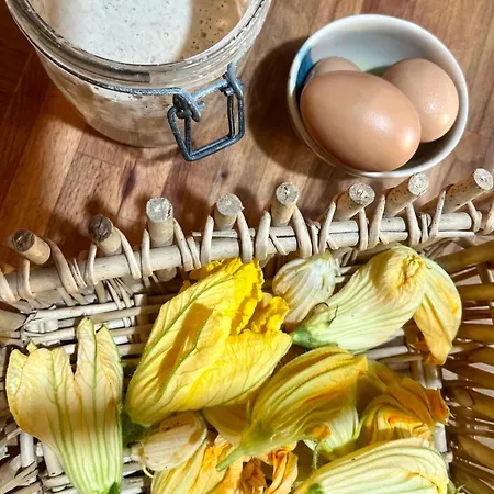 Bed & Breakfast Monte Paradiso 3*