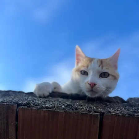 Monte Paradiso Пьетралунга