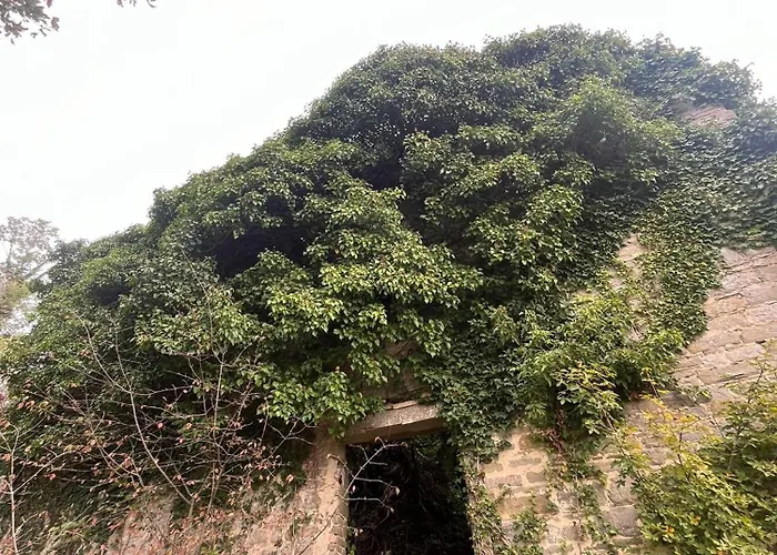 Alojamento de Acomodação e Pequeno-almoço Monte Paradiso Pietralunga (Umbria)