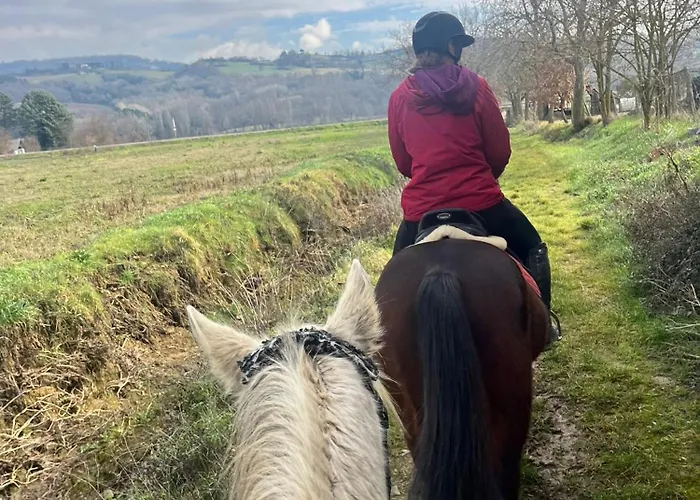 Monte Paradiso Alojamento de Acomodação e Pequeno-almoço