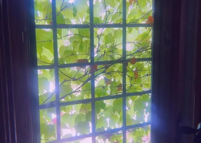 Alojamento de Acomodação e Pequeno-almoço Monte Paradiso 3*