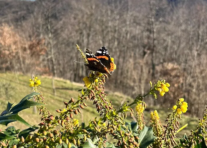 Monte Paradiso 3* Pietralunga (Umbria)