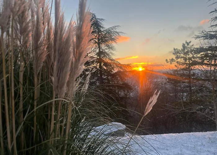 Monte Paradiso Alojamento de Acomodação e Pequeno-almoço 3*