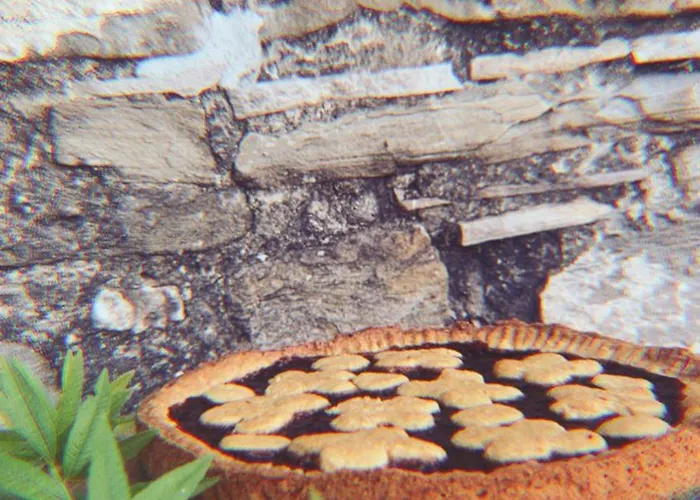 Monte Paradiso Alojamento de Acomodação e Pequeno-almoço