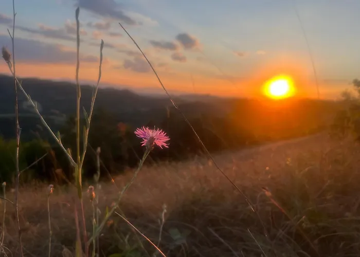 Alojamento de Acomodação e Pequeno-almoço Monte Paradiso Pietralunga (Umbria)