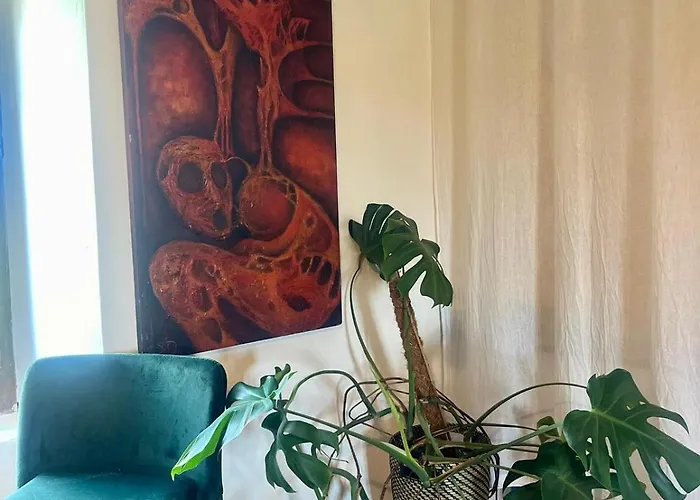 Alojamento de Acomodação e Pequeno-almoço Monte Paradiso