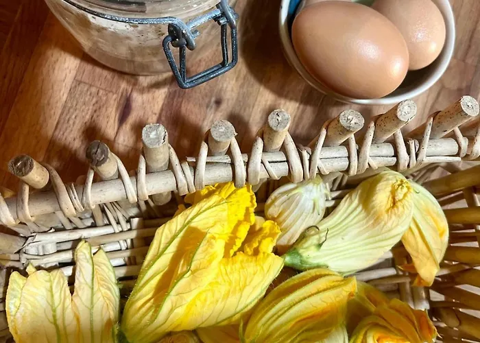 Alojamento de Acomodação e Pequeno-almoço Monte Paradiso 3*