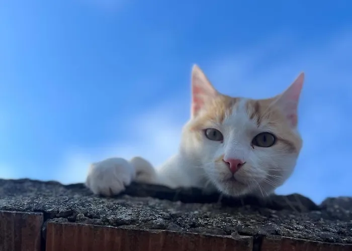 Monte Paradiso Pietralunga (Umbria)