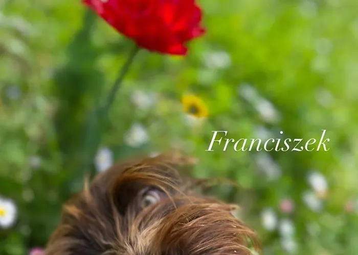 Monte Paradiso Alojamento de Acomodação e Pequeno-almoço