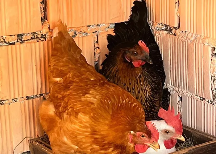 Monte Paradiso 3* Pietralunga (Umbria)